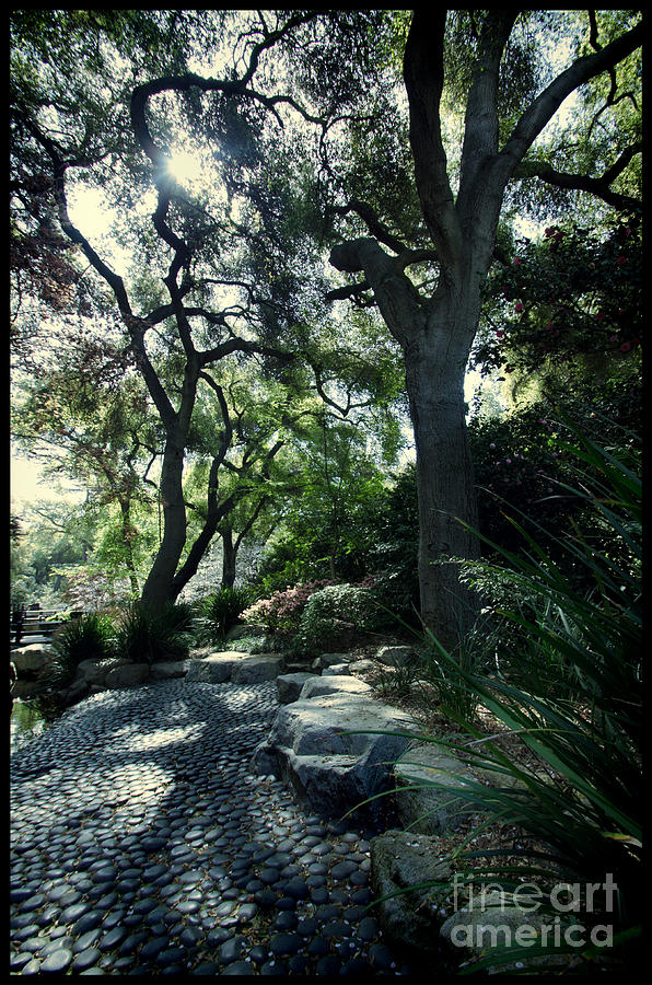 Stone Path Photograph by Norma Warden
