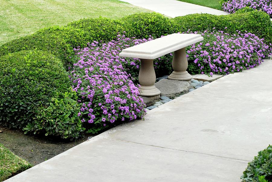 Stone Seat By A Garden Path Photograph by Anthony Cooper/science Photo Library