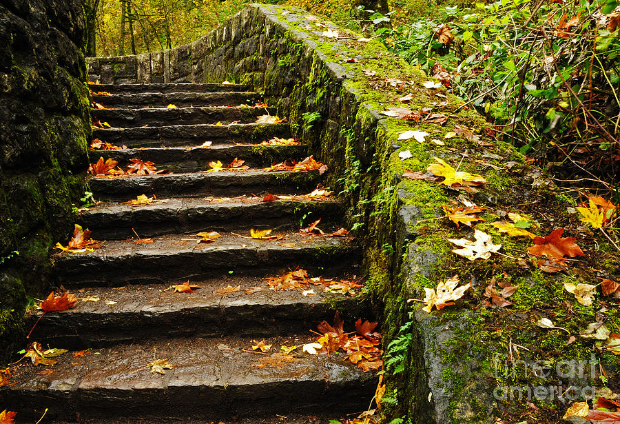 Stone Stairway Columbia River Gorge Photograph by Vivian Christopher