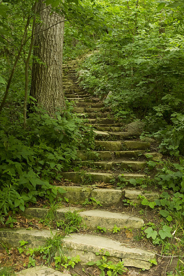 Nature Photograph - Stone Step Trail 3 by John Brueske