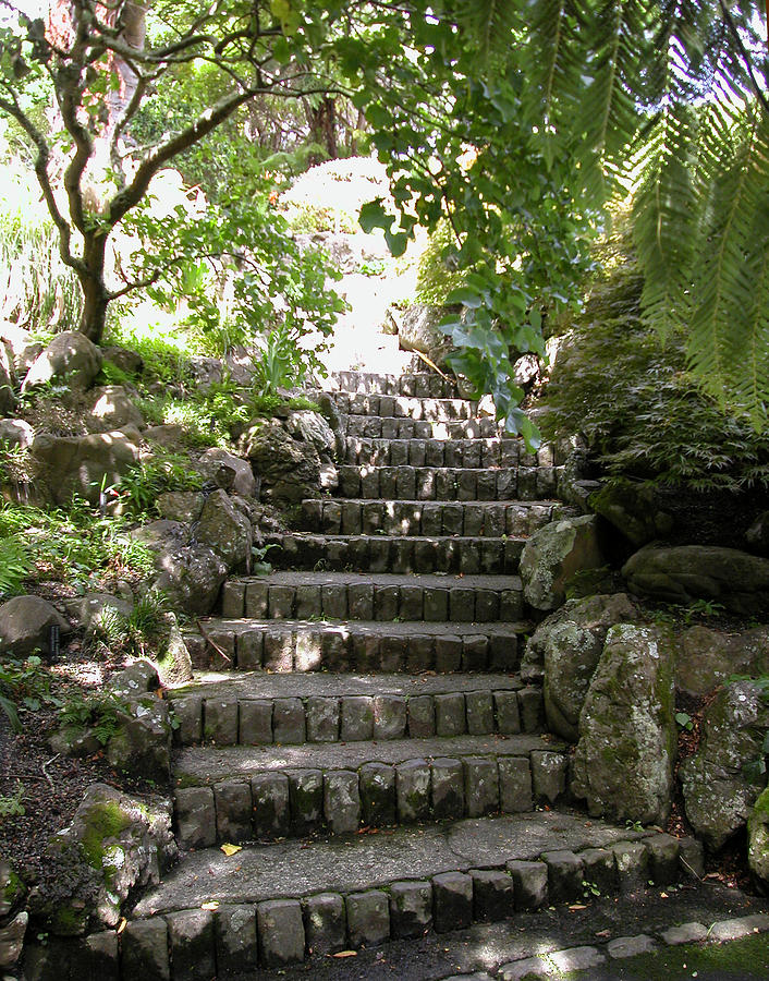 Shade Trees Photograph - Stone steps by Aileen Mayer