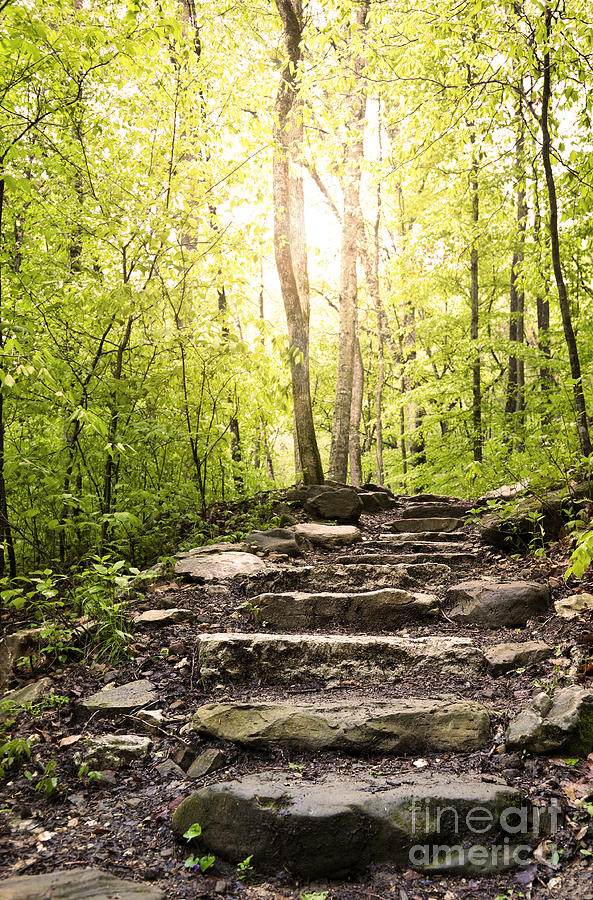 Stone Steps Along A Wooded Arkansas Hiking Trail. Photograph by Brandon ...