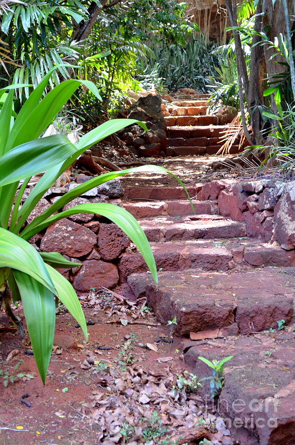 Stone Steps Photograph by Mary Deal