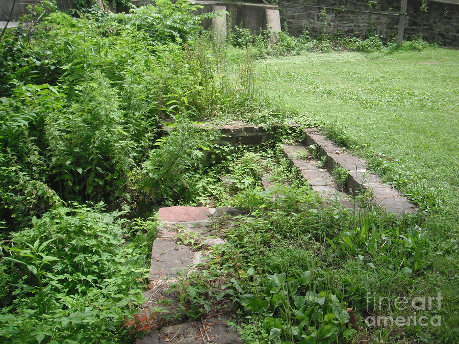 Stone Steps On The Riverbank Photograph by Susan Carella
