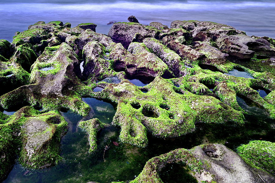 Stone Trap For Fishing Photograph by Hank Sun (hanksun88)