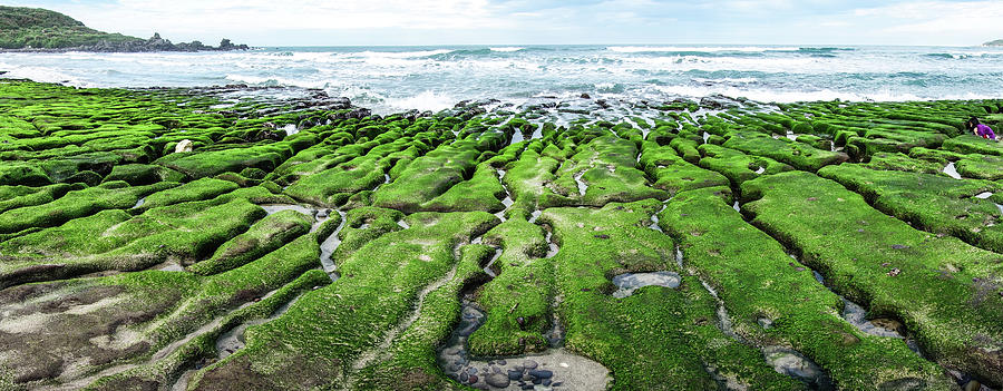 Stone Trench Of Laomei Coast Photograph by 500