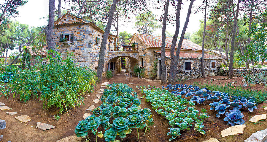 Stone village garden with vegetables Photograph by Brch Photography