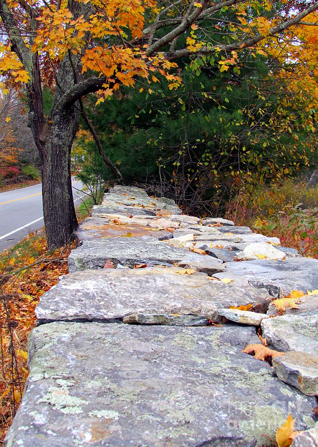 Stone Wall in Autumn Photograph by Lili Feinstein