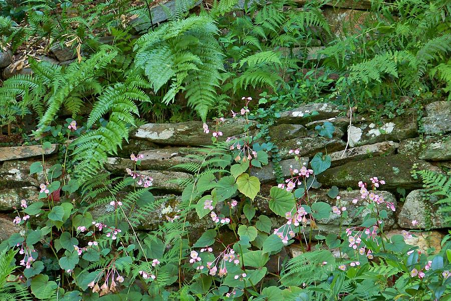 Stone Wall Photograph By Karen King - Pixels