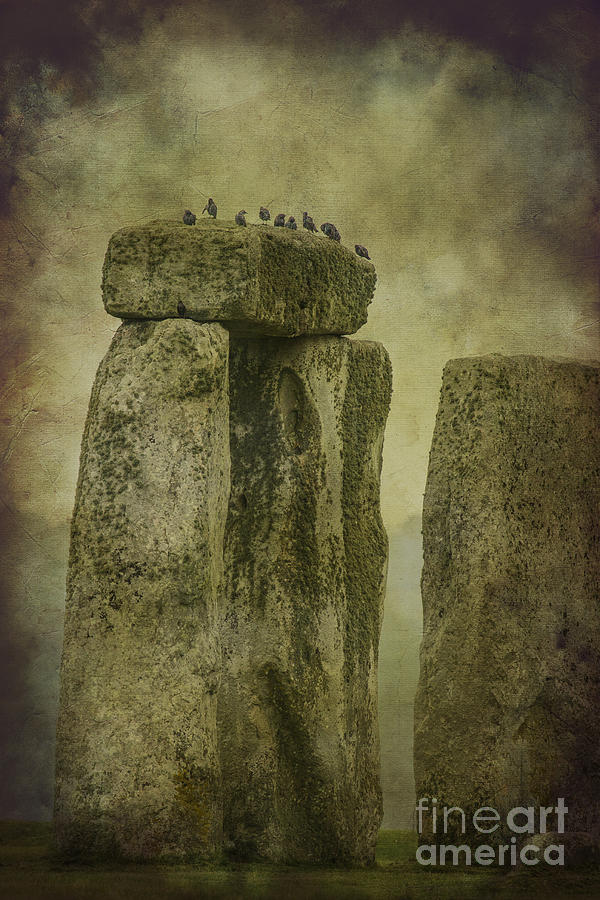 Prehistoric Photograph - Stonehenge Birds 6 by Clare Bambers