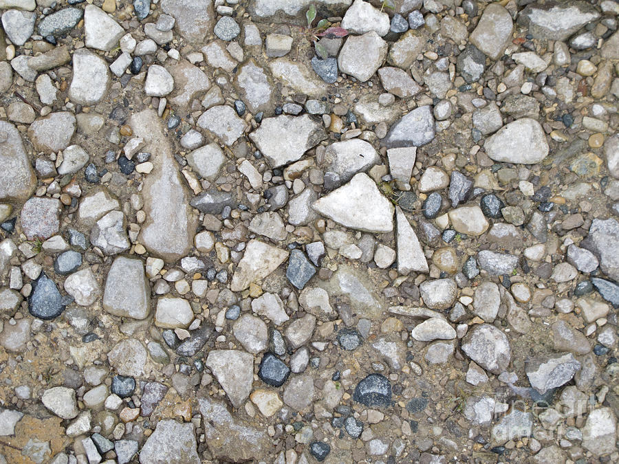 Stones On Damp Sand Photograph