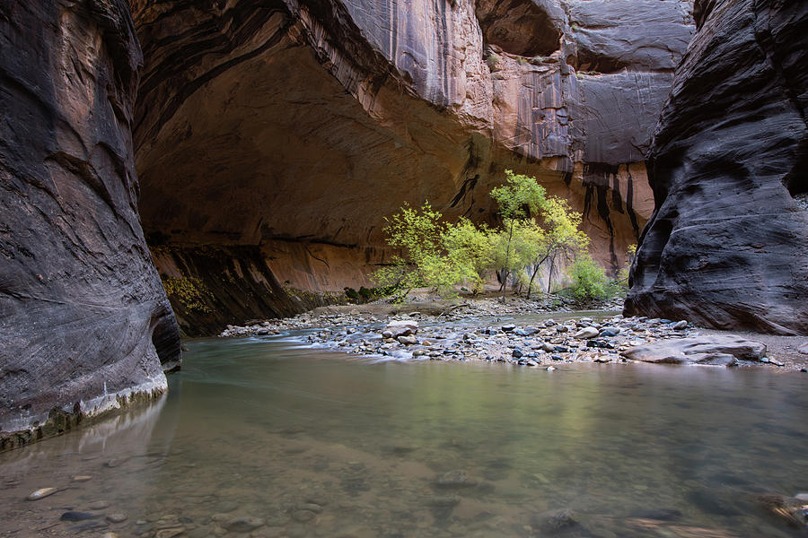 Stones Underwater, Zion National Park Photograph by Panoramic Images ...