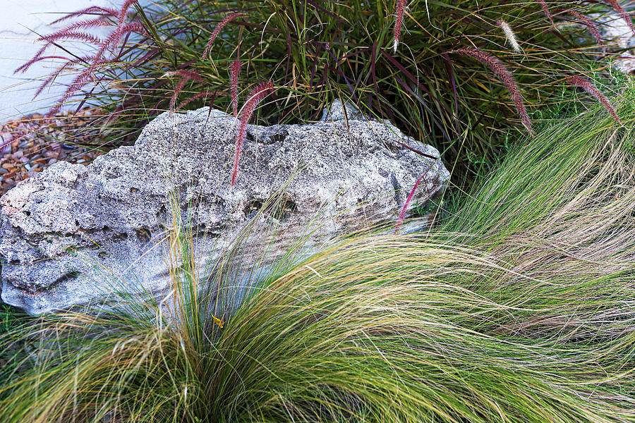 Stones with Flowing Grass Photograph by Linda Phelps