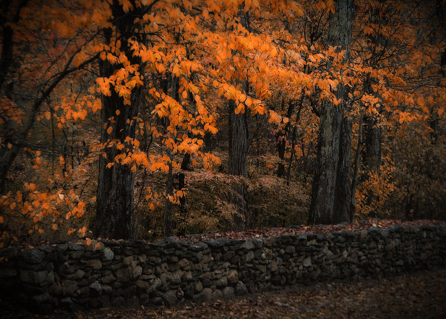Fall Photograph - Stonewall In Autumn by Gary Blackman