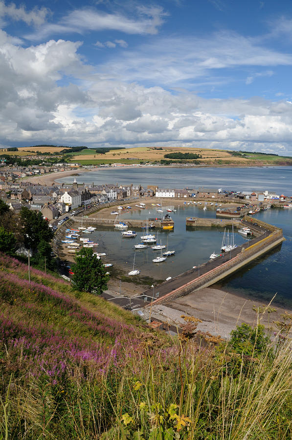 Stonhaven Harbour  Scotland Photograph by Jeremy Voisey