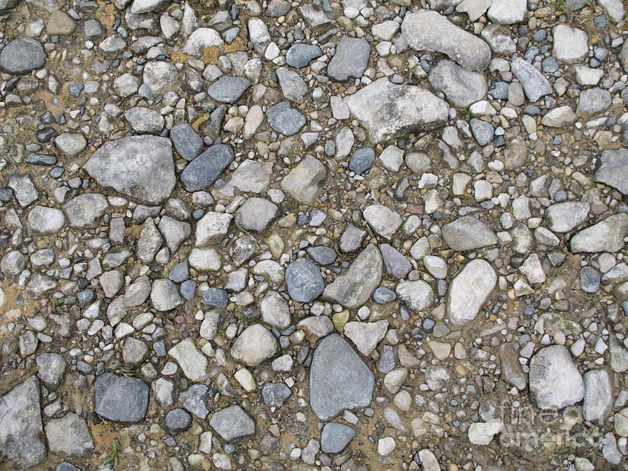 Pebbles Photograph - Stony Beach by Ann Horn