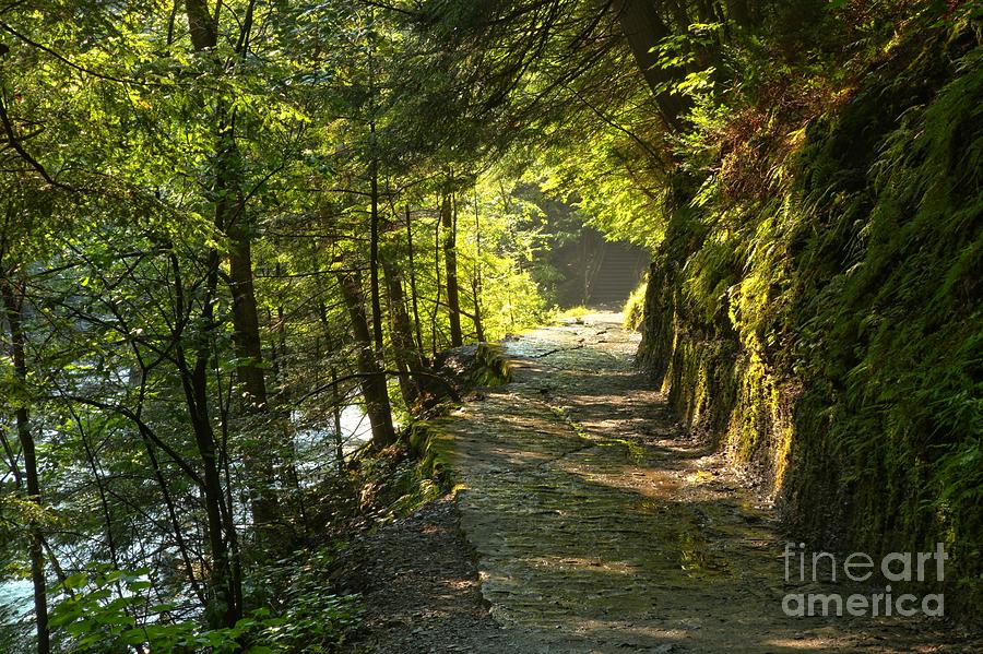 Stony Brook Gorge Trail New York Photograph by Adam Jewell