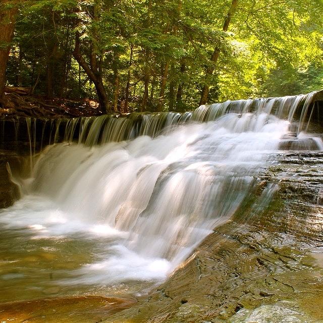 Nature Photograph - Stony Brook In Summer by Justin Connor