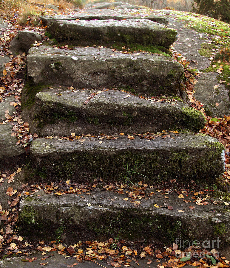 Stony Steps Photograph by Lutz Baar