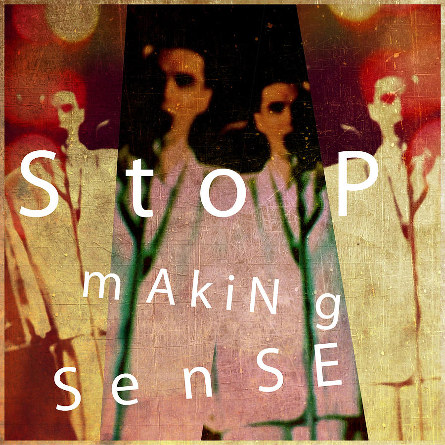 Stop Making Sense Photograph by Anne Thurston