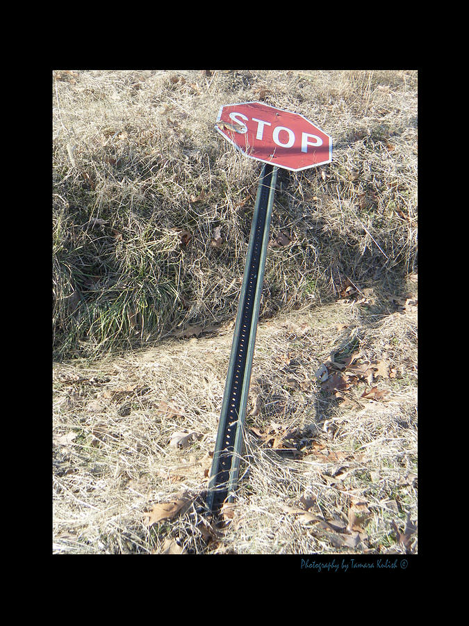 Stop sign 1 Photograph by Tamara Kulish