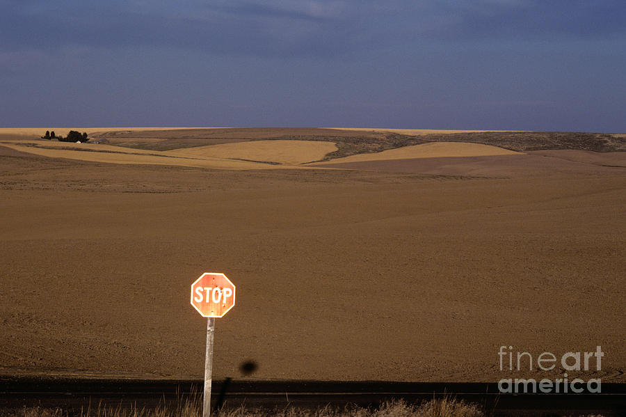 Stop Sign Photograph by Jim Corwin