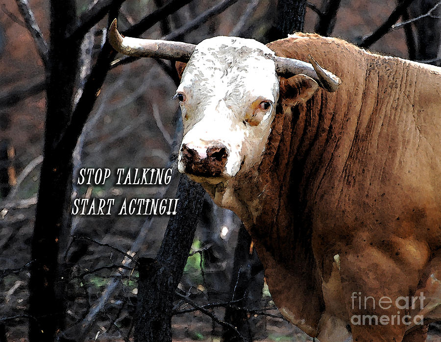 Cow Photograph - Stop Talking by Linda Cox