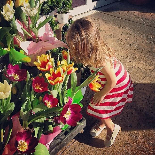 Stopping To Smell The Tulips Photograph by Stefanie Olson