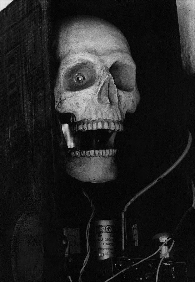 Store window display skull radio ghost town Jerome Arizona 1968 Photograph by David Lee Guss