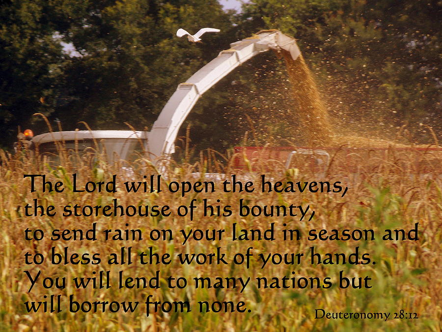 Storehouse of His Bounty Photograph by Sheri McLeroy