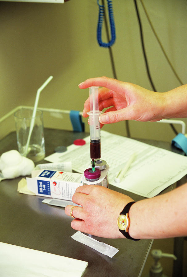 Storing Blood Sample Photograph by Antonia Reeve/science Photo Library