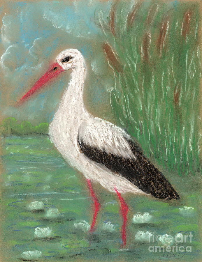 Stork Painting by Anna Folkartanna Maciejewska-Dyba - Fine Art America