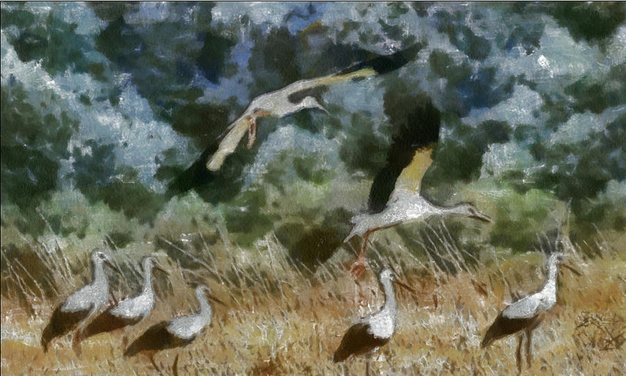 Stork Painting - Storks by Georgi Dimitrov
