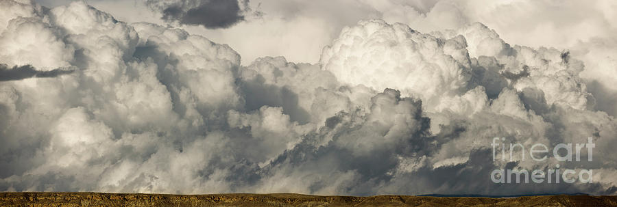 Storm And Sagebrush Desert  Photograph by Yva Momatiuk John Eastcott