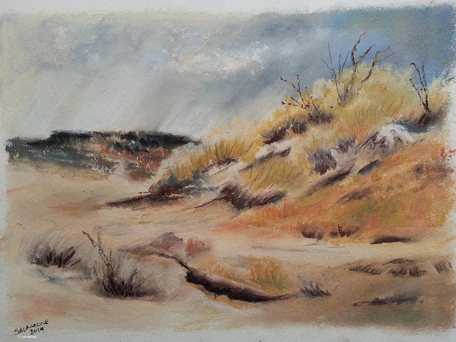 Storm and Sand Pastel by Brenda Salamone