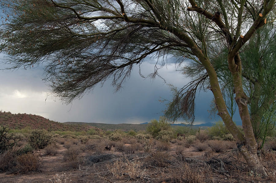 Desert Photograph - Storm Approaching by Tam Ryan