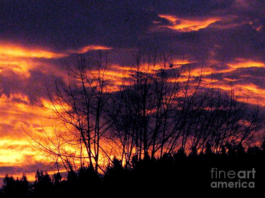 Storm Arrival Photograph By Judyann Matthews Fine Art America 6476