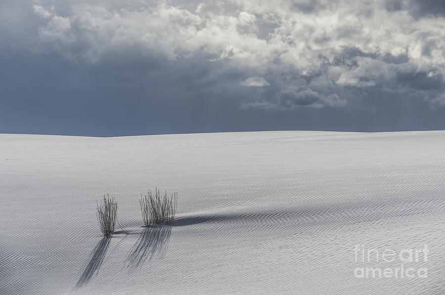 White Sands National Monument Photograph - Storm At White Sands by Sandra Bronstein