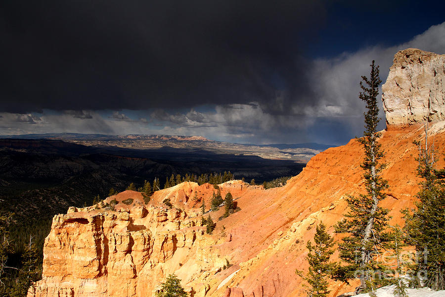 Storm Brewing-Bryce Canyon Photograph by Butch Lombardi