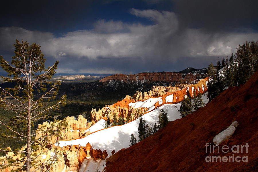 Storm Brewing South Rim Bryce Canyon Photograph by Butch Lombardi