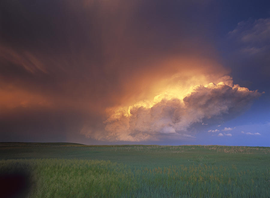 Storm Cloud Lit By Setting Sun Photograph by Tim Fitzharris