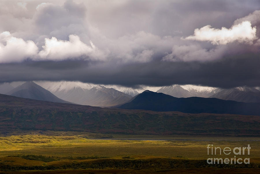 Denali National Park Photograph - Storm Clouds, Denali National Park by Ron Sanford