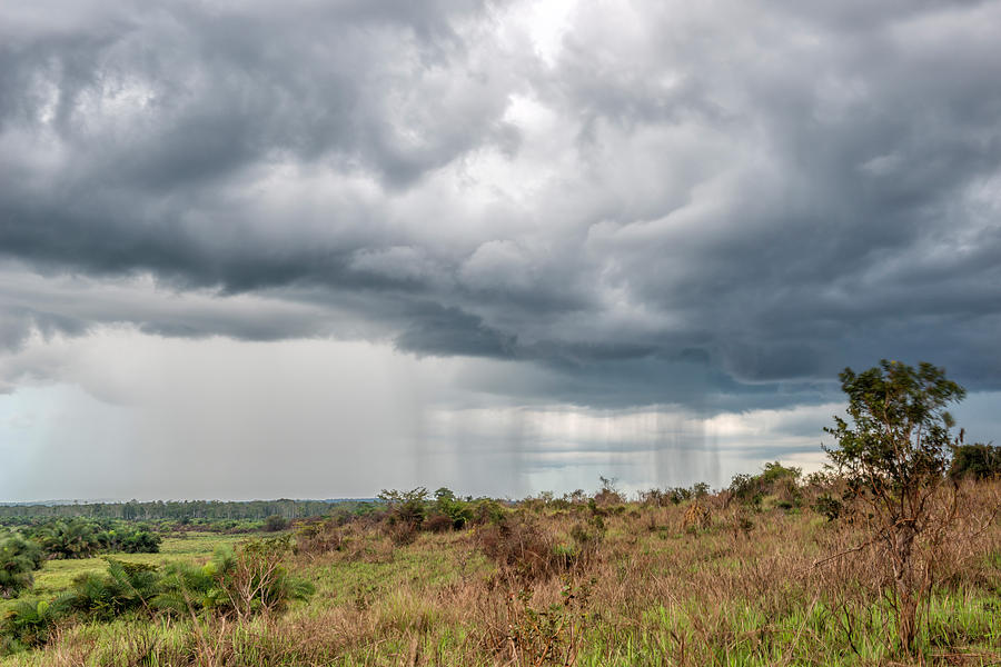 Storm Clouds, Odzala National Park Photograph by James Steinberg
