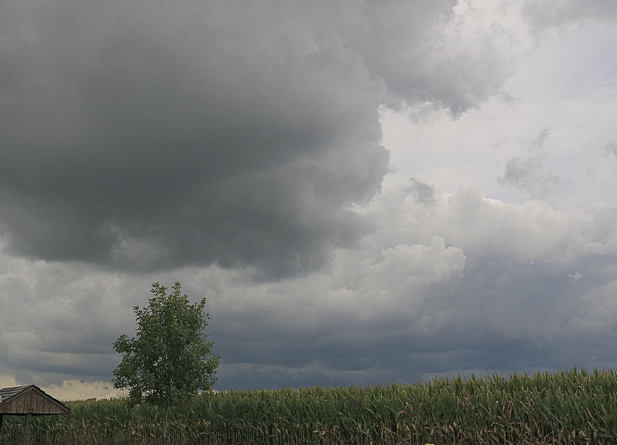 Tree Photograph - Storm Clouds Over Cornfields by Lynn Chendorain