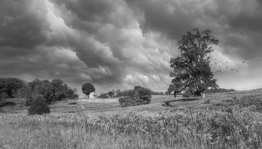 Storm Coming Photograph by John Rivera