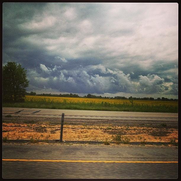 Contrast in Storm Photograph by Emily Hathway - Fine Art America