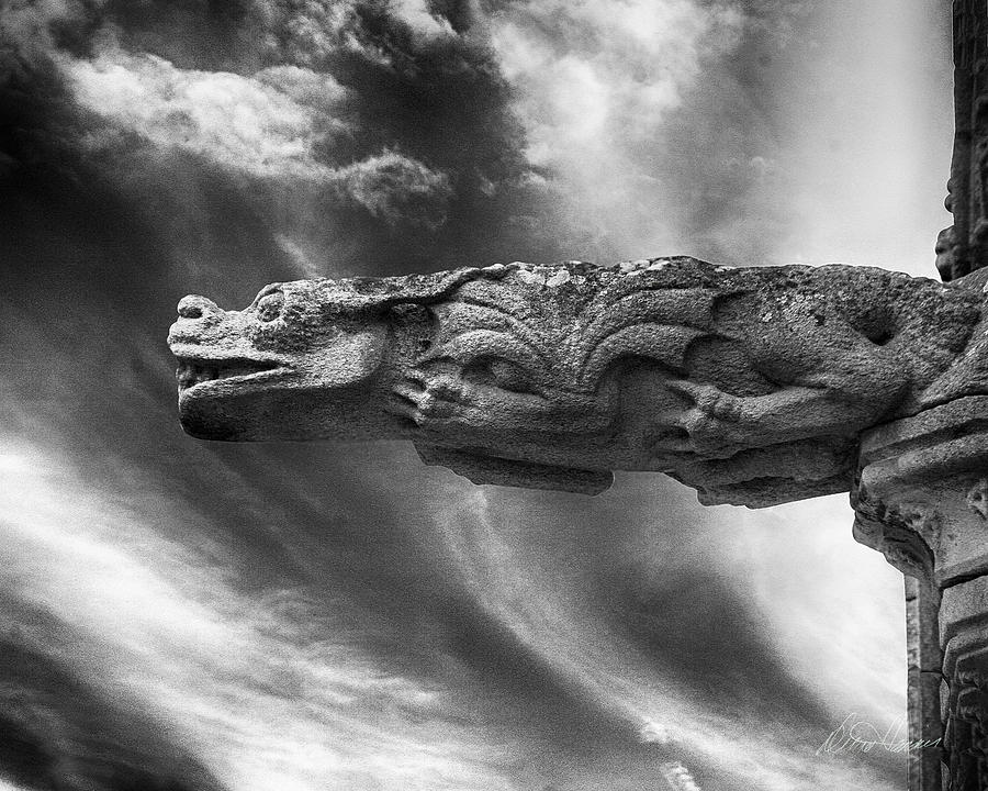 Storm Dragon Photograph by Diana Haronis