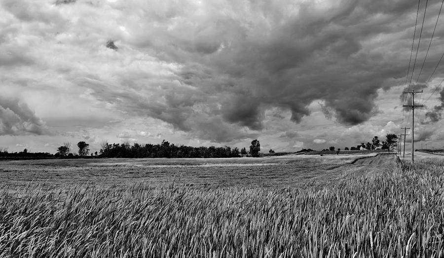 Storm Field - Canada Photograph by Jeremy Hall