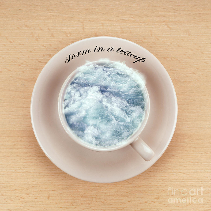 storm in a teacup ceramics