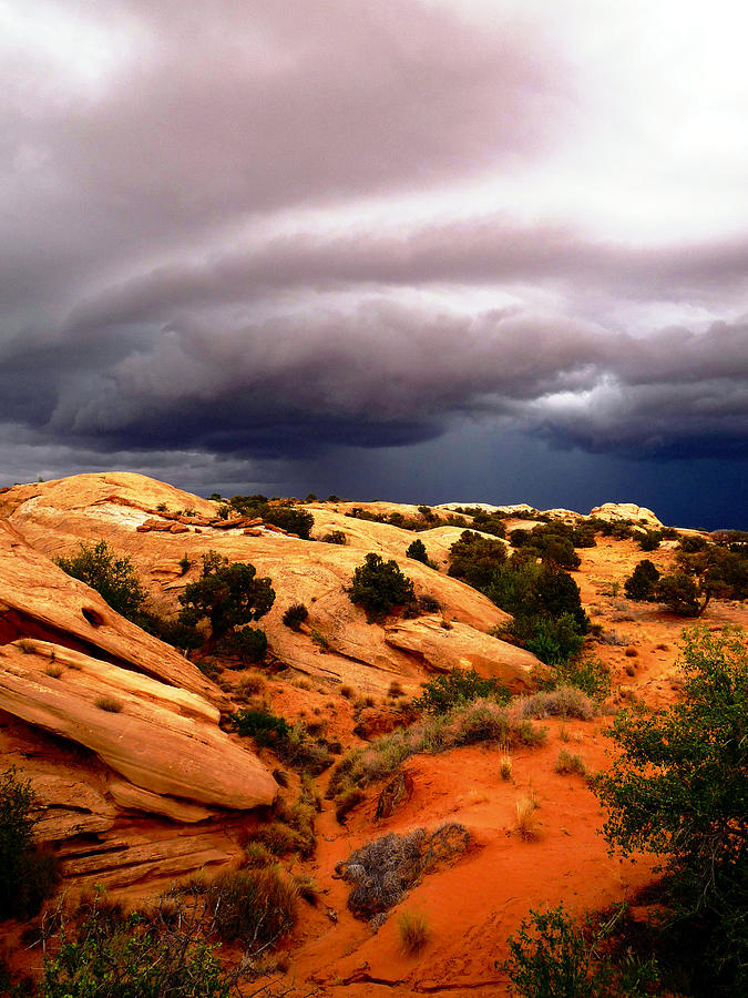 Storm in the Desert Photograph by Tranquil Light Photography